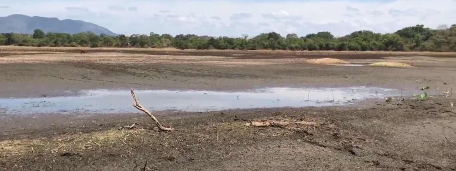 Cracked Earth, Empty Reservoirs & Hungry Wildlife